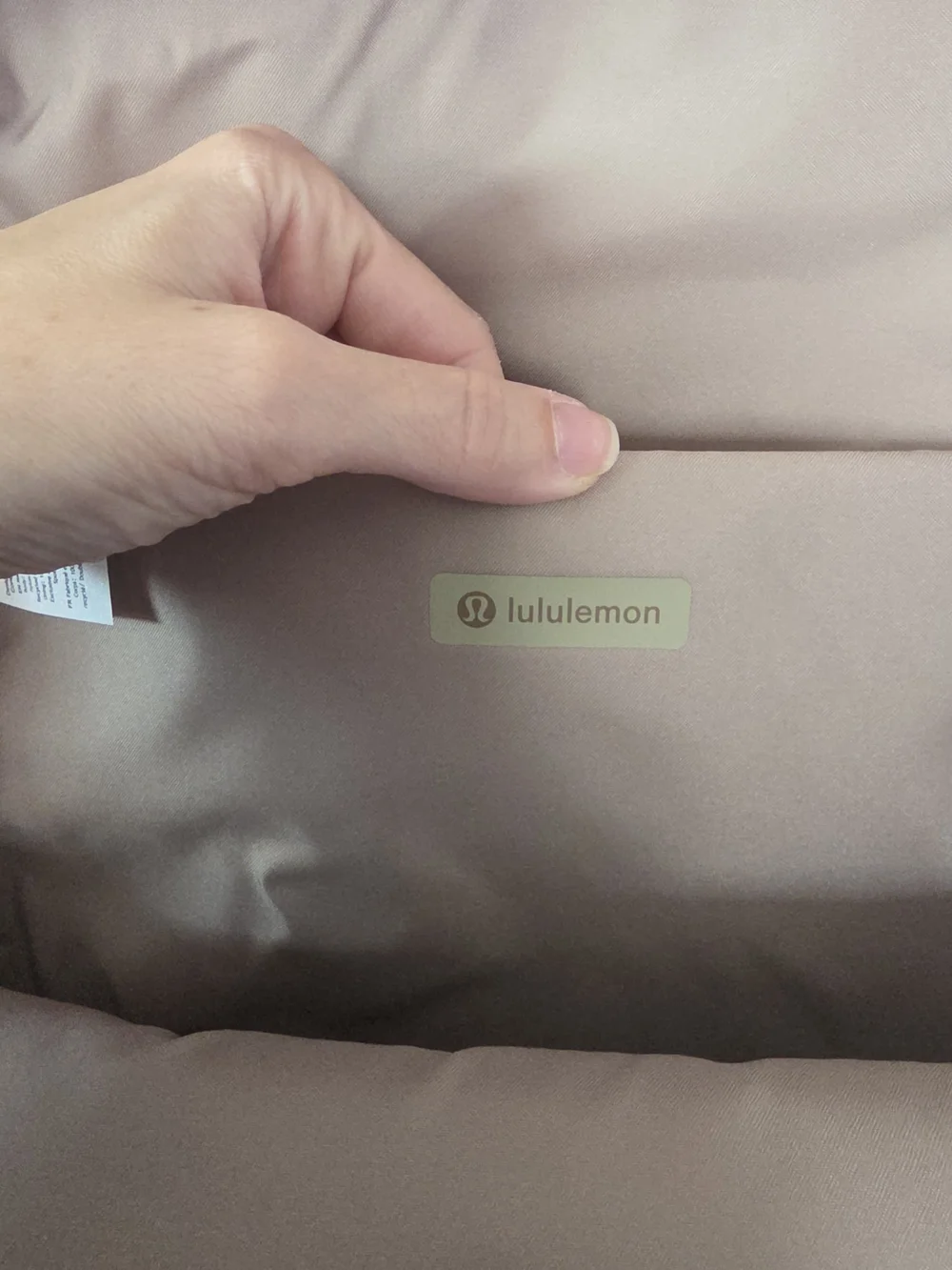 Lululemon Everywhere Backpack 22L NWT